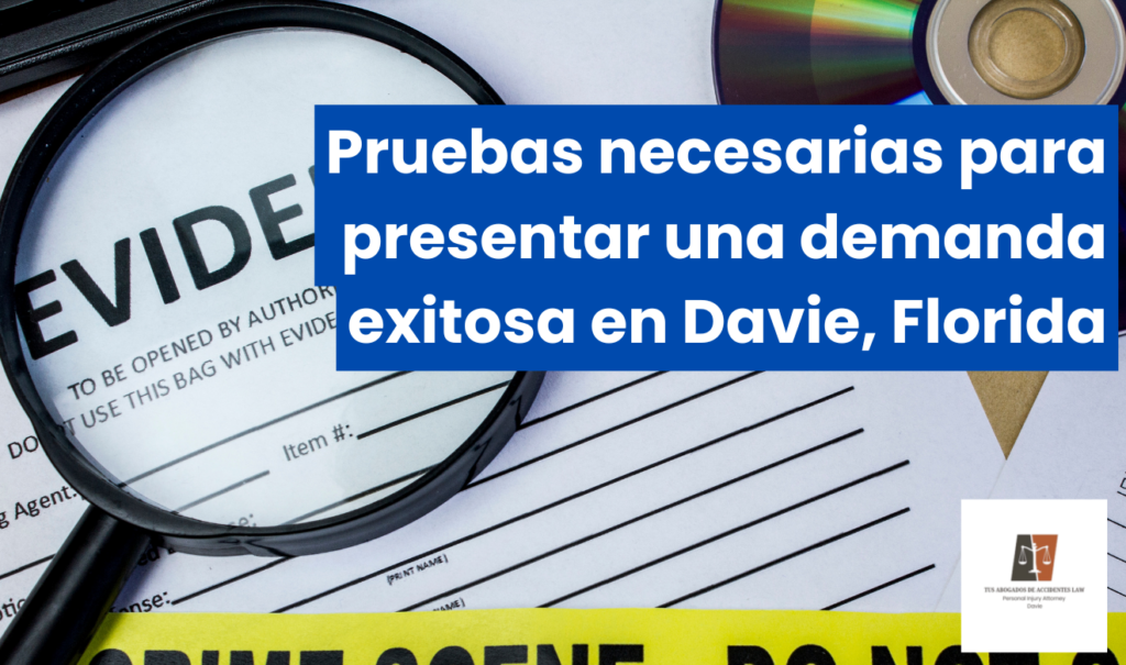 qué evidencia necesito para demanda Davie