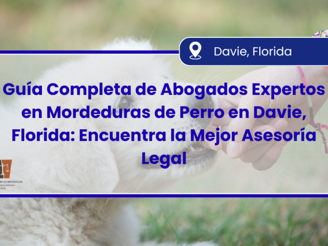 Guía Completa de Abogados Expertos en Mordeduras de Perro en Davie, Florida: Encuentra la Mejor Asesoría Legal